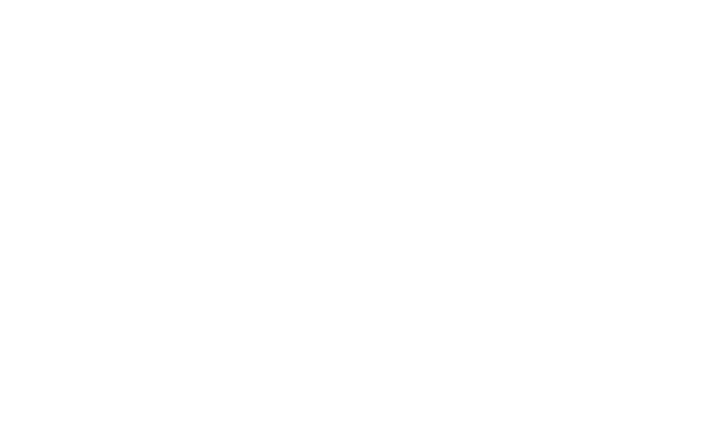 Fontie Flits Logo