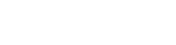 VirSeker